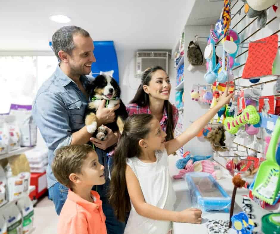חנות חיות