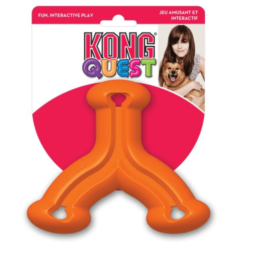 קונג kong  קווסט - צעצוע האכלה לכלבים בצורת פרח
