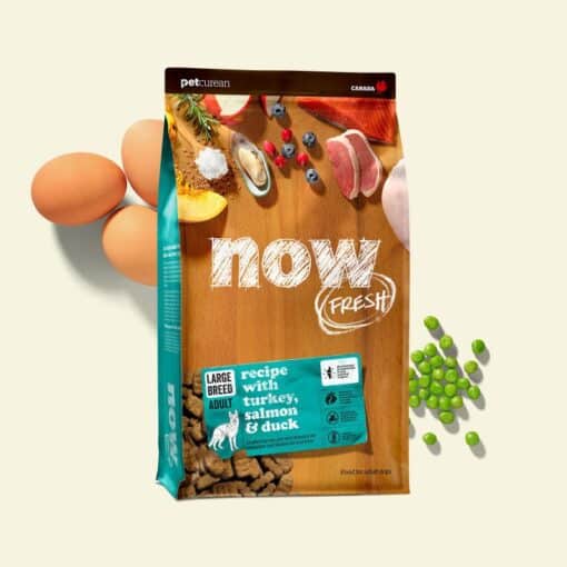 now נאו בוגר גזע גדול הודו,ברווז,וסלמון 11.3ק"ג