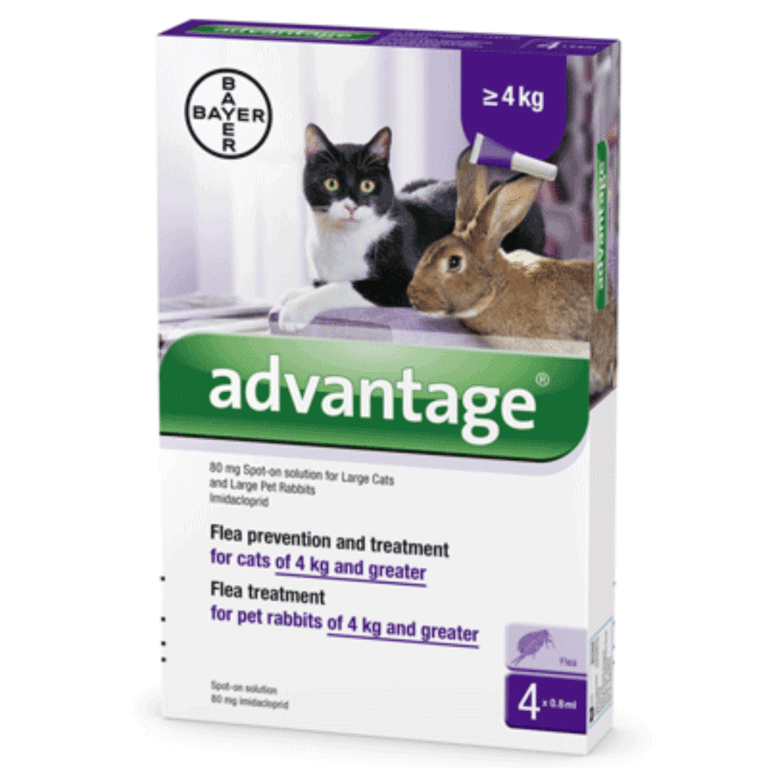 אמפולות אדוונטאג' לחתול וארנב במשקל 4 ק“ג ומעלה - Bayer