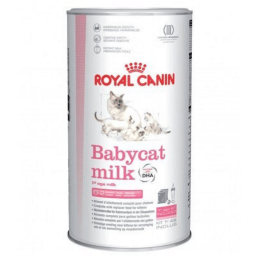 תחליף חלב לחתולים רויאל קנין 300 גרם ROYAL CANIN