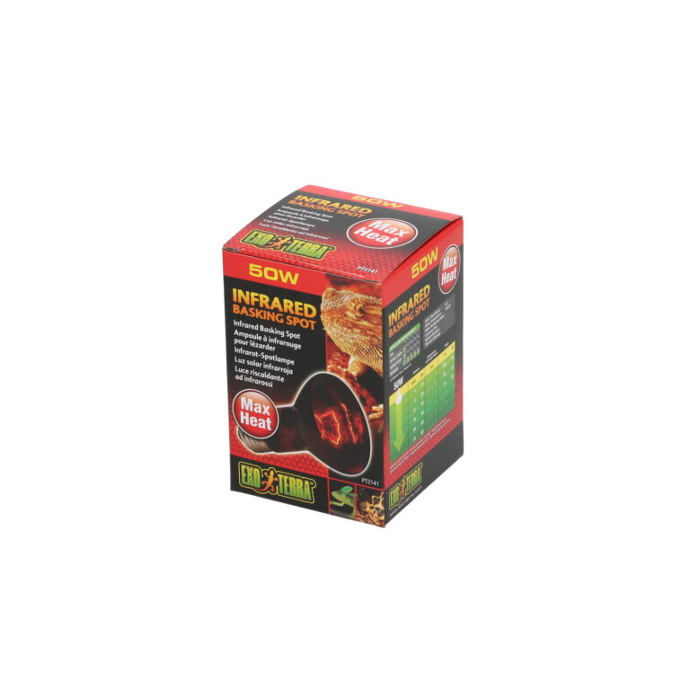 אקזוטרה מנורה אינפרה אדום 50W