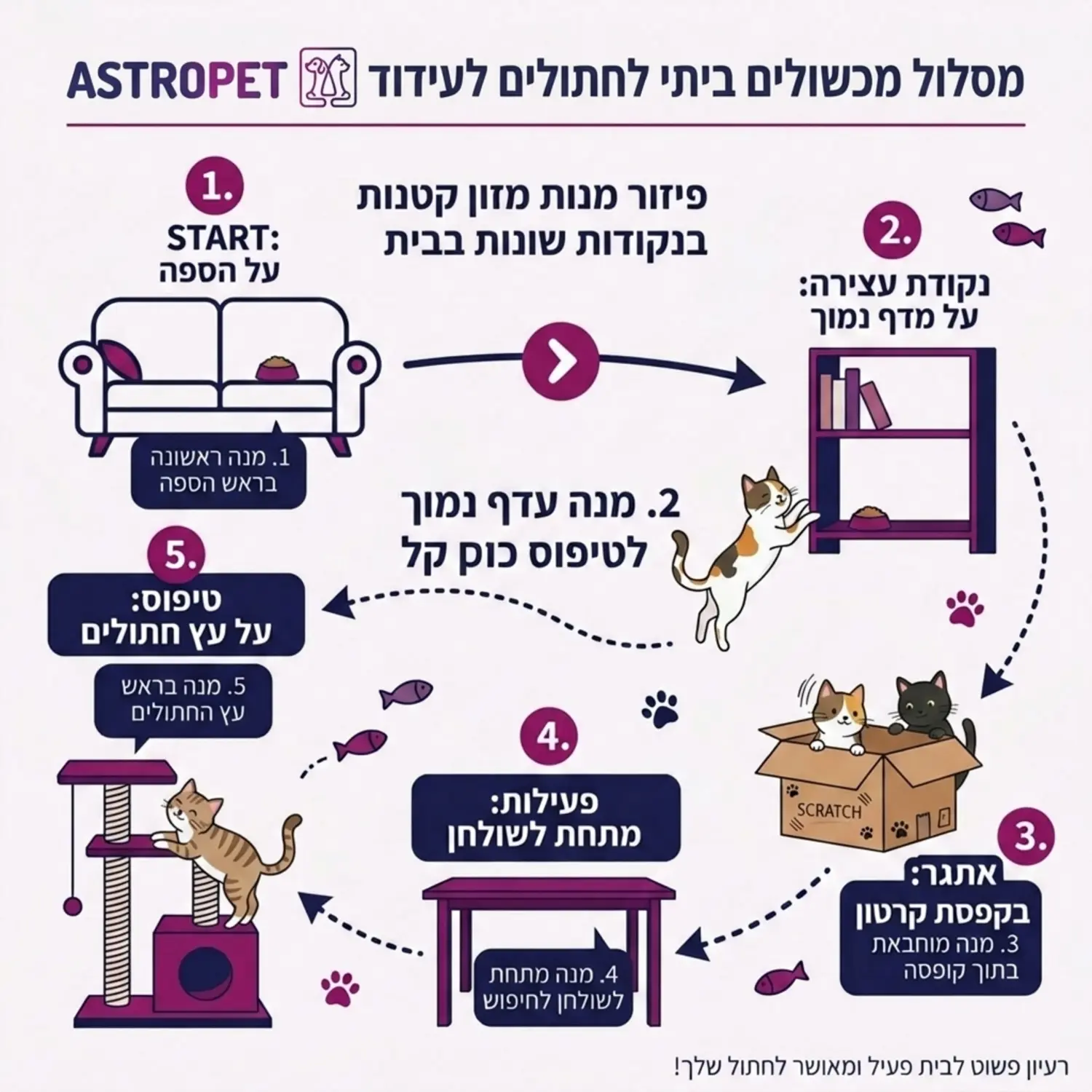 אינפוגרפיקה של מסלול מכשולים ביתי לחתולים, המדגימה כיצד לפזר מנות מזון קטנות בנקודות שונות בבית כמו על ספה, על מדף נמוך ובתוך קופסת קרטון, כדי לעודד תנועה לאורך היום