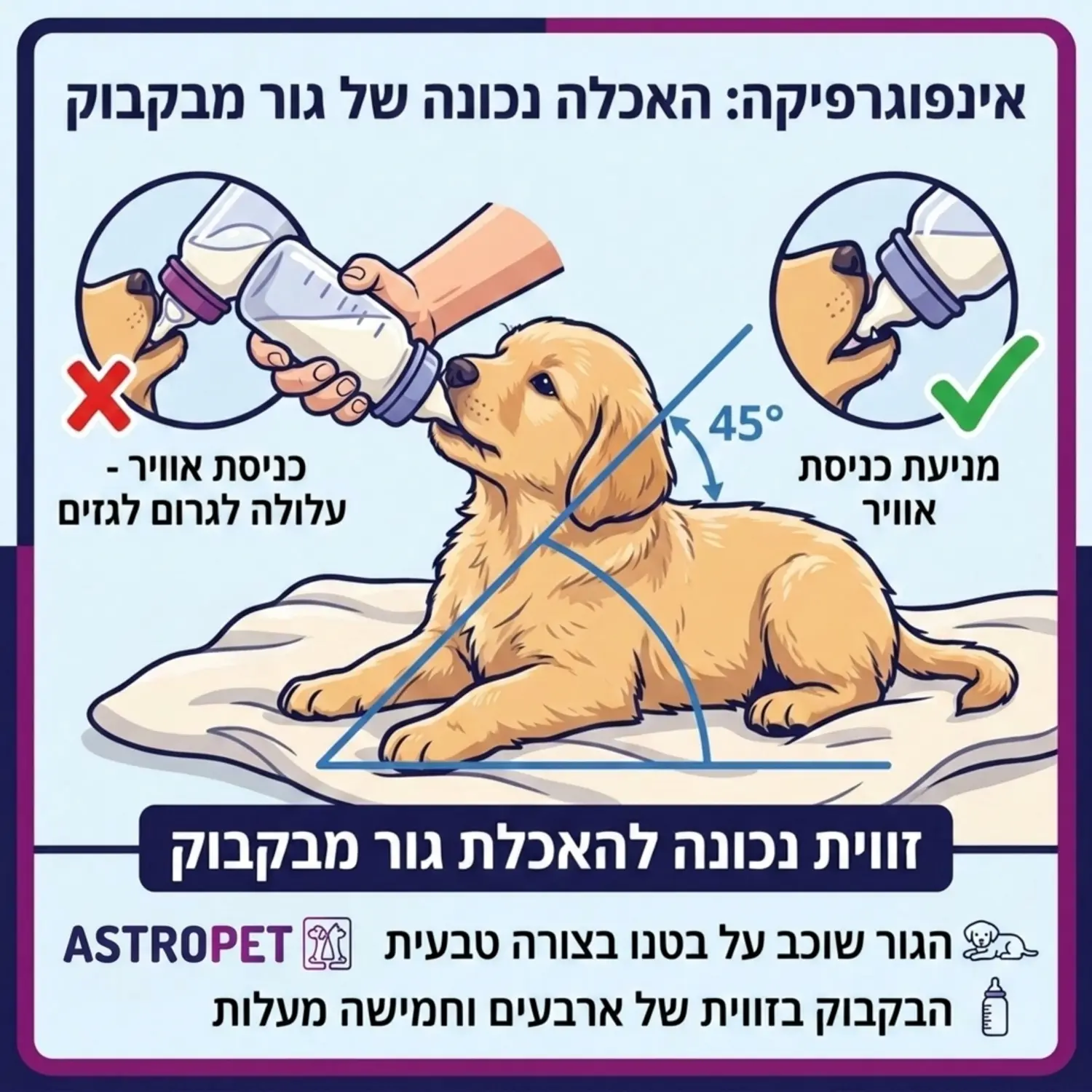 אינפוגרפיקה המציגה את הזווית הנכונה להאכלת גור מבקבוק, כאשר הגור שוכב על בטנו בצורה טבעית והבקבוק בזווית של ארבעים וחמישה מעלות כדי למנוע כניסת אוויר