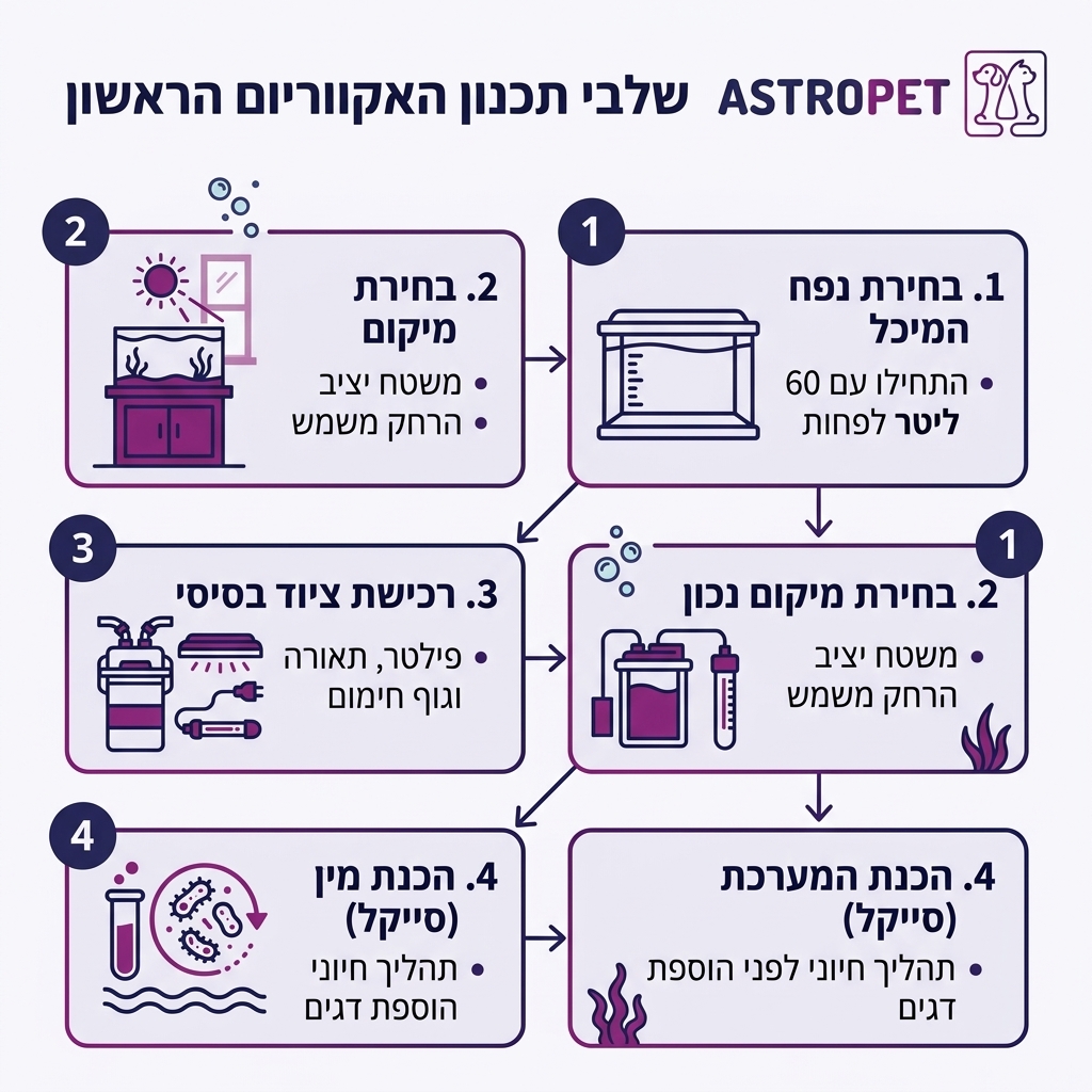 אינפוגרפיקה