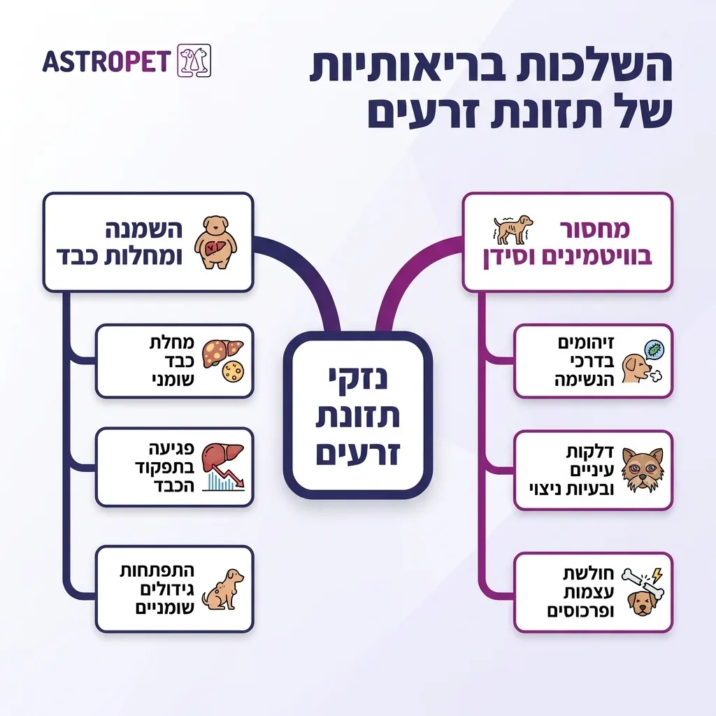 אינפוגרפיקה — השלכות בריאותיות של תזונת זרעים: נזקי תזונת זרעים