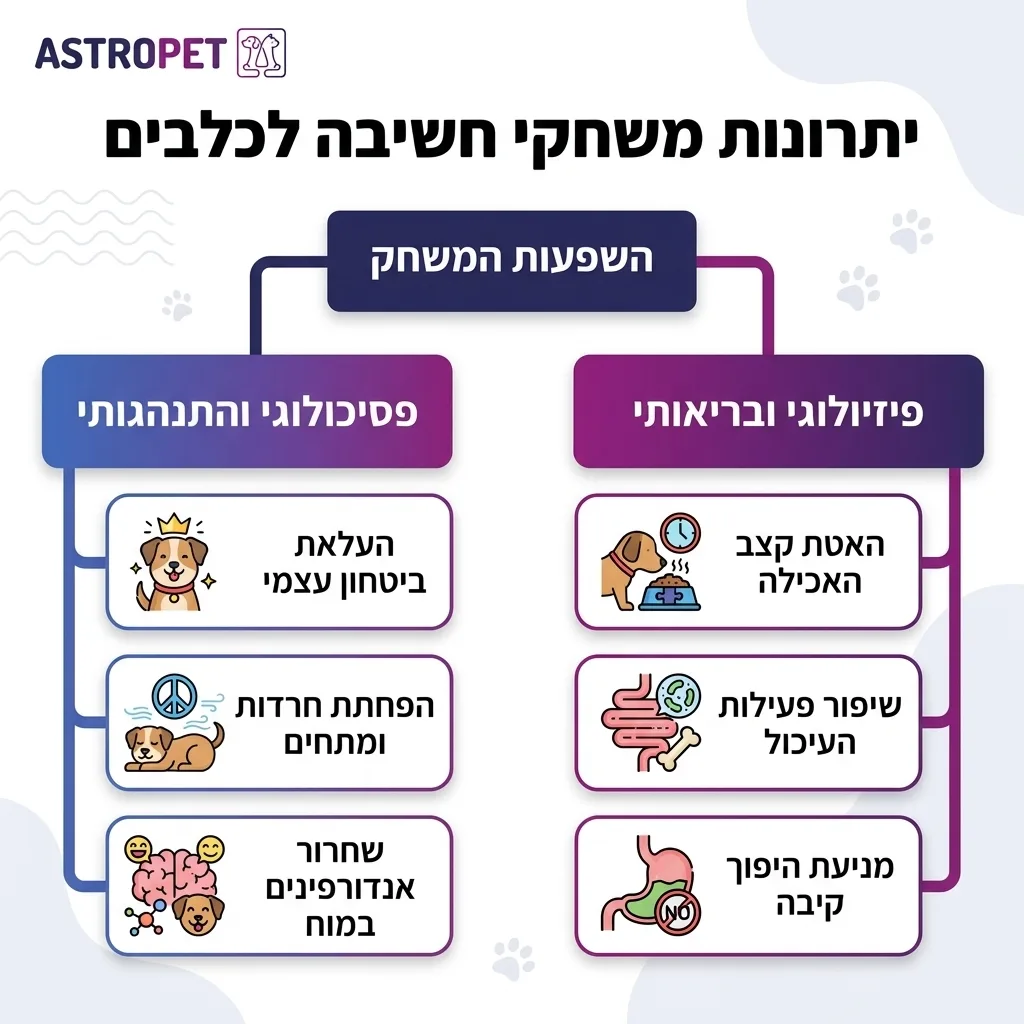 אינפוגרפיקה — יתרונות משחקי חשיבה לכלבים: השפעות המשחק