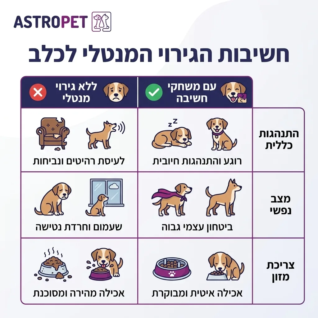 אינפוגרפיקה — חשיבות הגירוי המנטלי לכלב: השוואה בין ללא גירוי מנטלי, עם משחקי חשיבה