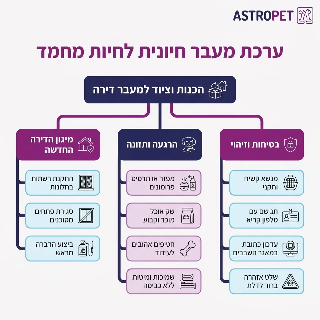 אינפוגרפיקה — ערכת מעבר חיונית לחיות מחמד: הכנות וציוד למעבר דירה